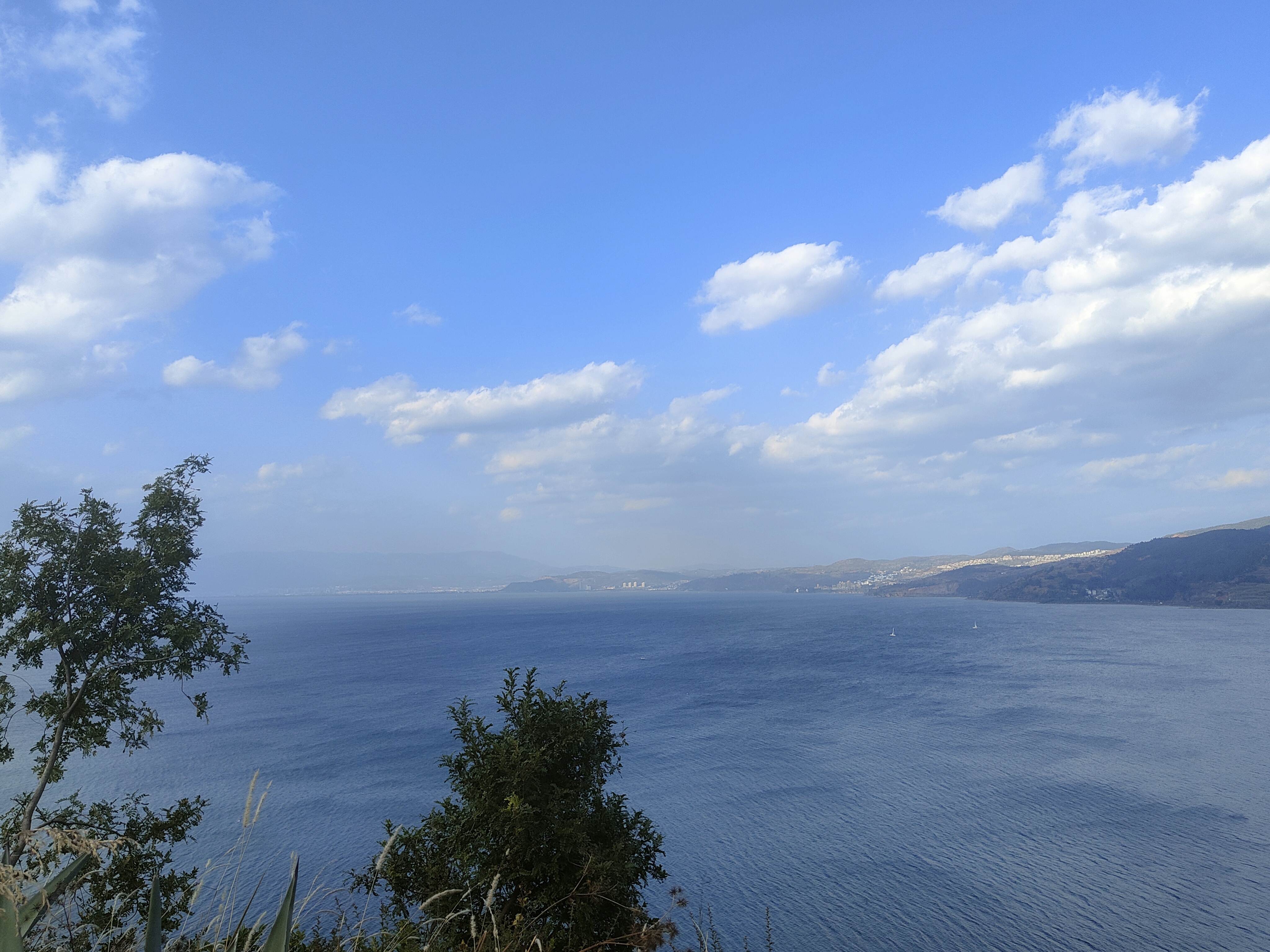 Image 6
